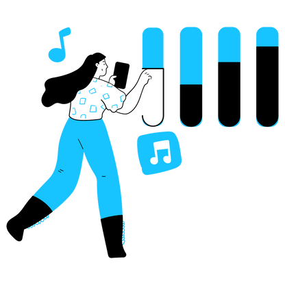 Installation of professional audio systems