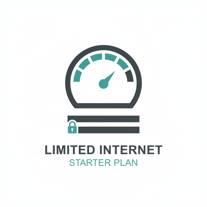 Customize Your Business Service Plan